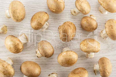 Fresh raw brown champignons on grey wood