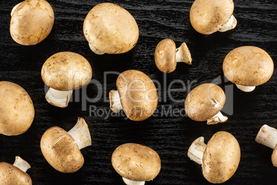 Fresh raw brown champignons on black wood