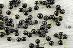 Fresh Raw Black Currant berry on grey wood