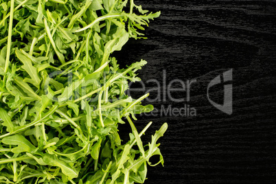 Fresh Raw Arugula (rucola) on black wood