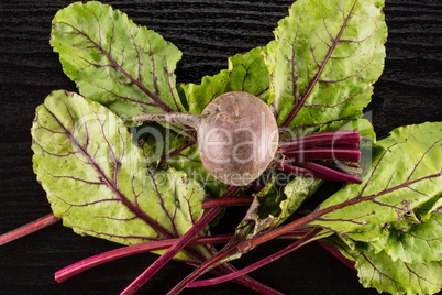 Fresh raw red beetroot on black wood