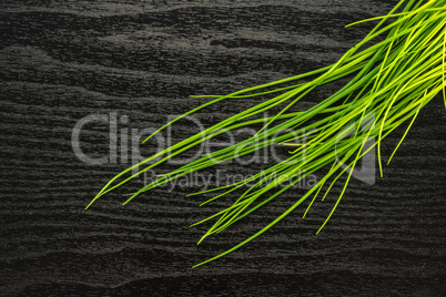 Fresh Raw Chives on black wood