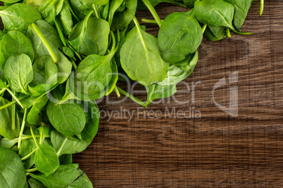 Fresh raw green spinach on brown wood