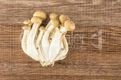 Fresh raw brown shimeji mushroom on brown wood