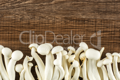 Fresh raw white shimeji mushroom on brown wood
