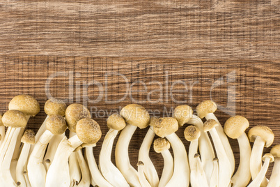 Fresh raw brown shimeji mushroom on brown wood