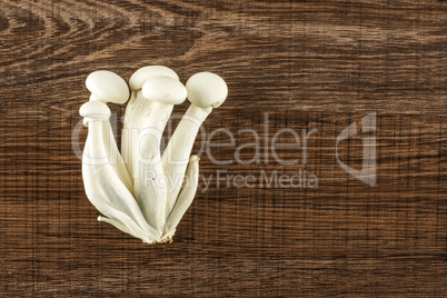 Fresh raw white shimeji mushroom on brown wood