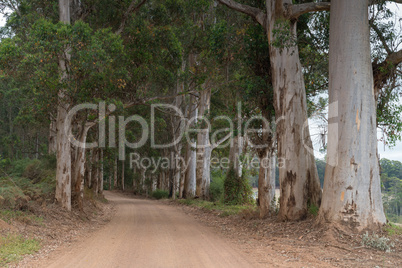 Mount Frankland National Park, Western Australia