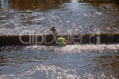 Schwimmender bunter Ball