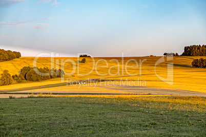 Sunset over summer fields