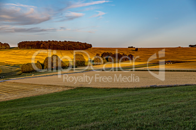 Sunset over summer fields