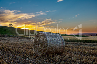 Sunset over summer fields