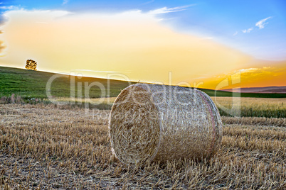 Sunset over summer fields