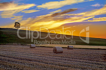 Sunset over summer fields
