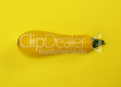 ripe yellow zucchini on a yellow background