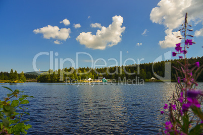 Fichtelsee See im Wald im Sommer