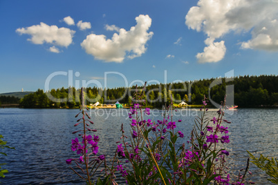 Fichtelsee See im Wald im Sommer