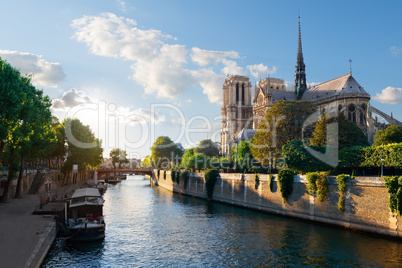 Sunlight on Notre Dame