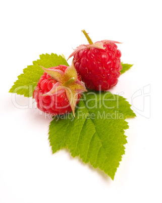 Organic raspberries on white
