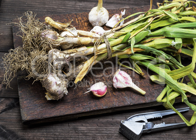 bunch of young garlic on a brown wooden board