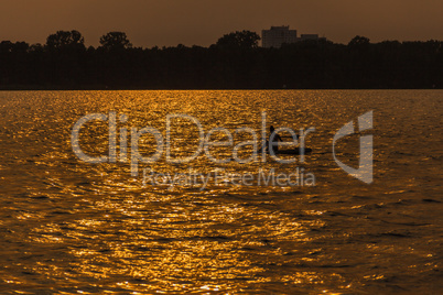 Ruderer am Berliner Müggelsee