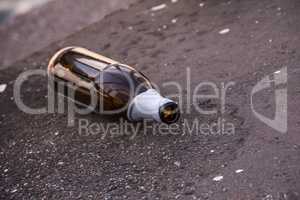 Leere Bierflasche auf der Straße