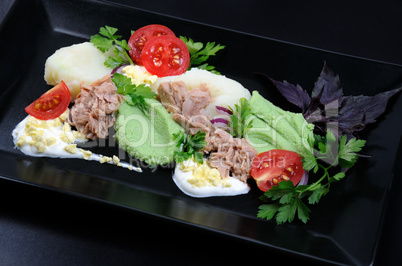 tuna with garnish