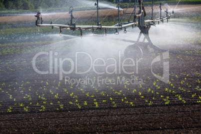 artificial watering in agriculture