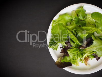 Fresh lettuce on a chalkboard