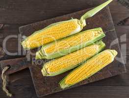 corn cobs on an old brown kitchen board