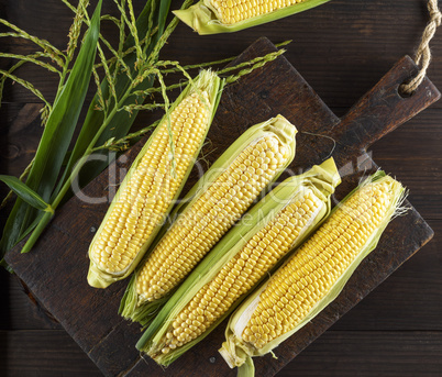 fresh ripe corn cobs on a brown wooden board