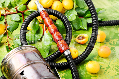 Eastern shisha with apricot