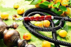 Eastern shisha with apricot