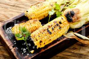 Tasty grilled corn