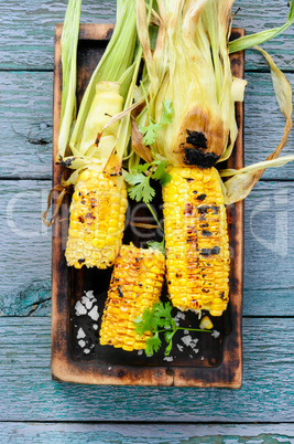 Corn grilled with salt