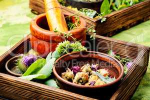 Healing herbs with mortar