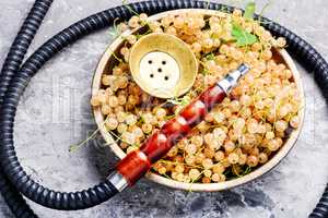 oriental shisha with white currant