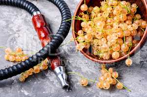 oriental shisha with white currant