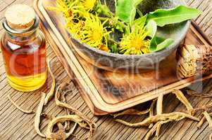 Root and tincture of elecampane