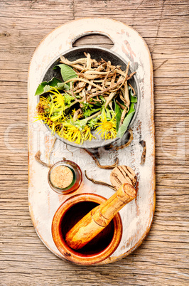 Root and tincture of elecampane