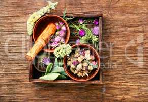 Healing herbs with mortar