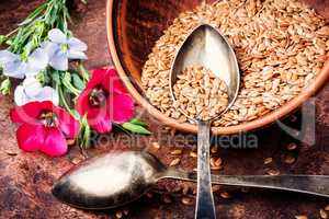 Brown flax seeds