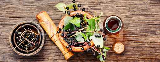 Branch with berries of bird cherry