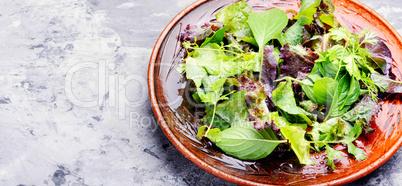 Green vegan salad