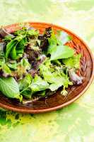 Green vegan salad