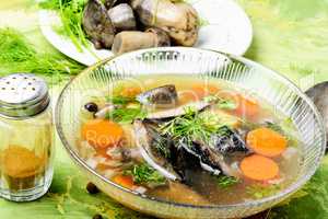 Soup with porcini mushroom