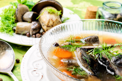 Soup with porcini mushroom