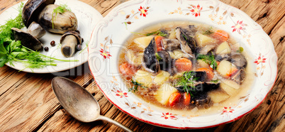 Soup with porcini mushroom