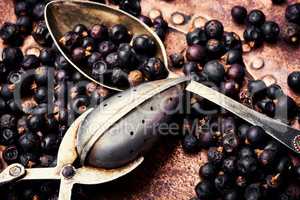 Pile of dry juniper berries