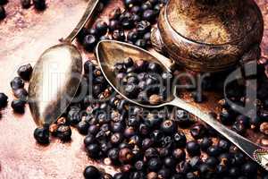 Pile of dry juniper berries